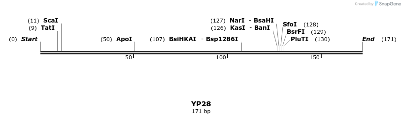 387790_map