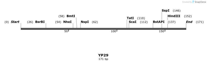 387792_map