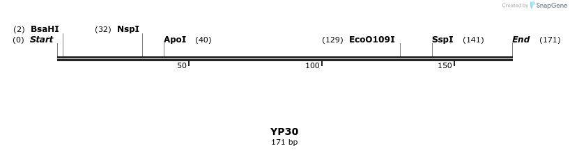 387794_map