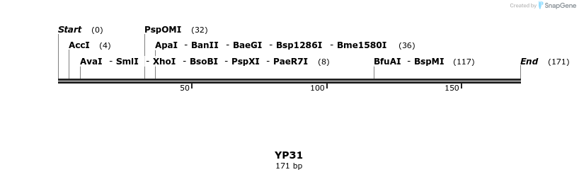 387796_map