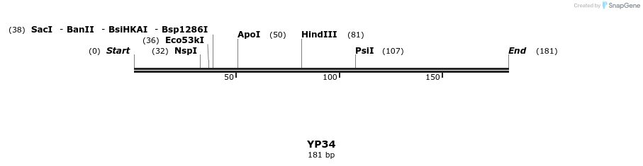 387802_map