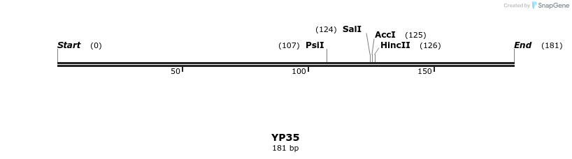 387804_map