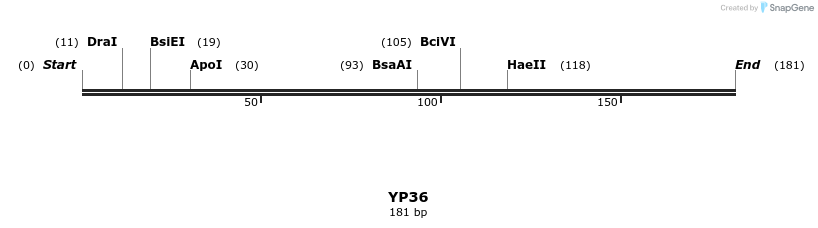 387806_map
