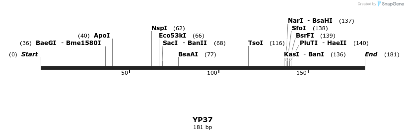 387808_map