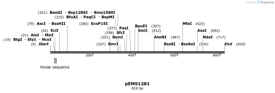 38781_map