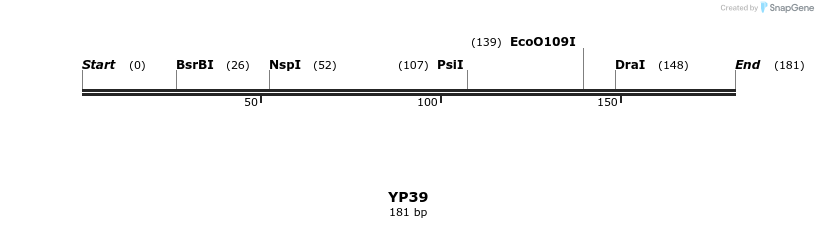 387812_map