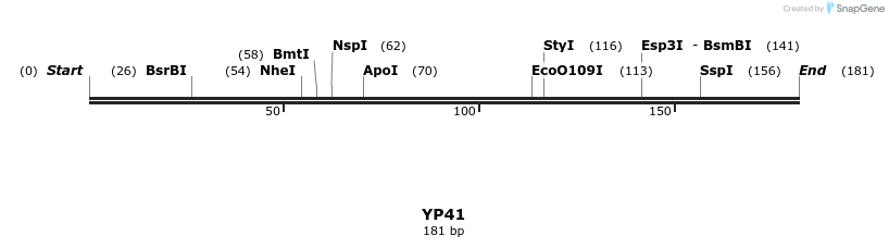 387816_map