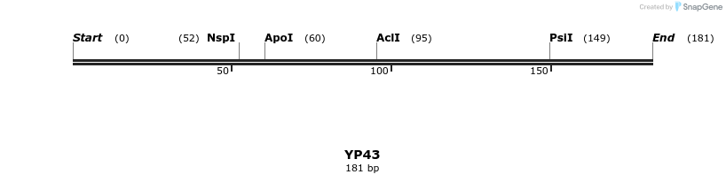 387820_map