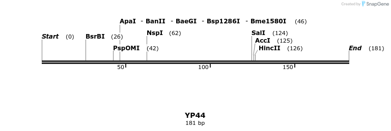 387822_map