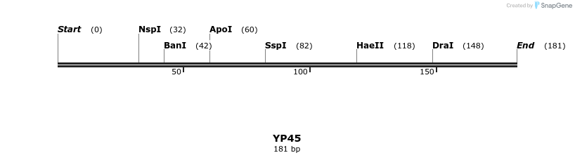 387824_map