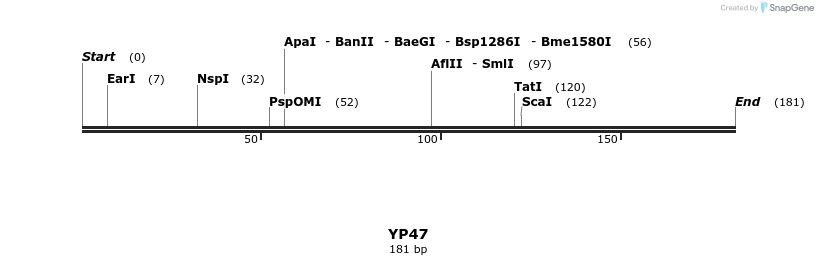 387828_map