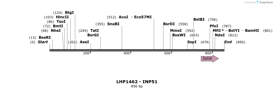38786_map