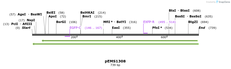 38788_map