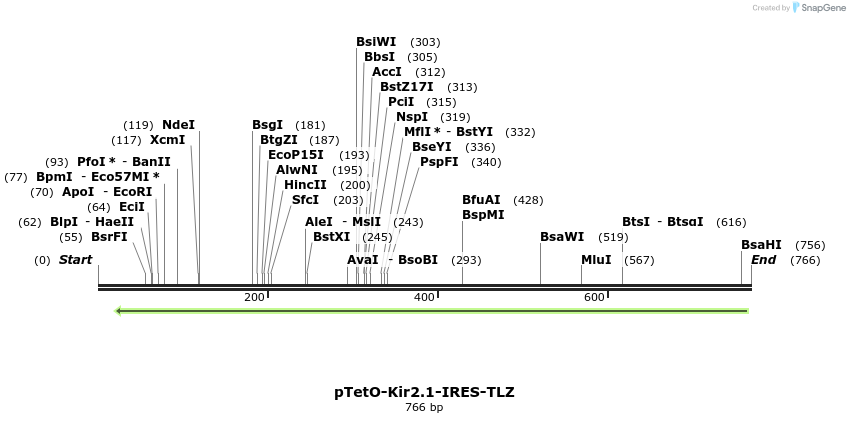 38790_map