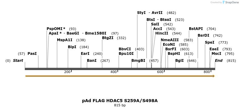 38795_map