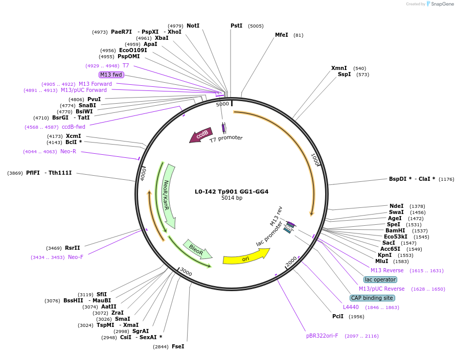387962_map