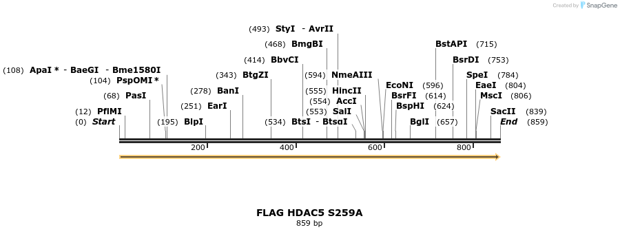 38797_map