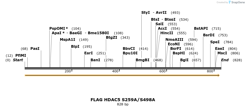 38799_map