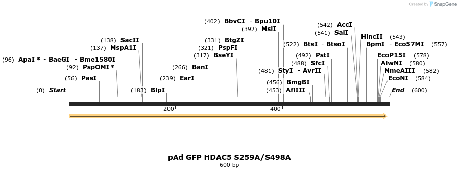 38801_map