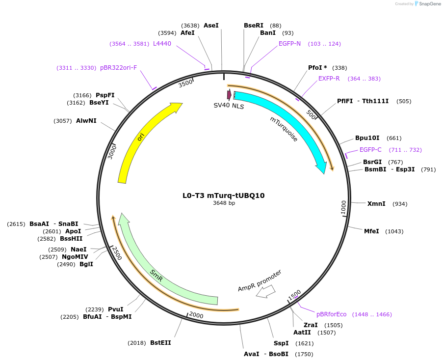 388014_map