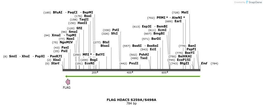 38803_map