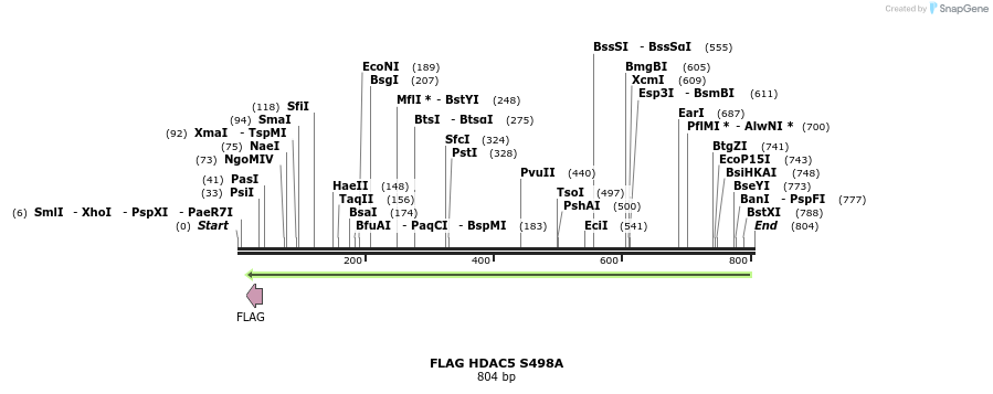 38804_map