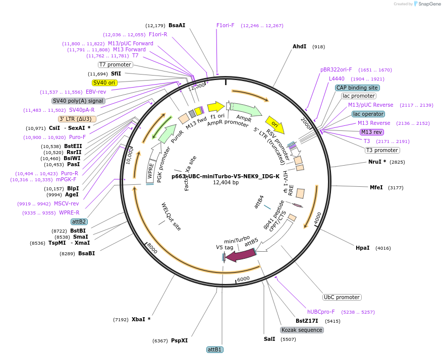 388072_map