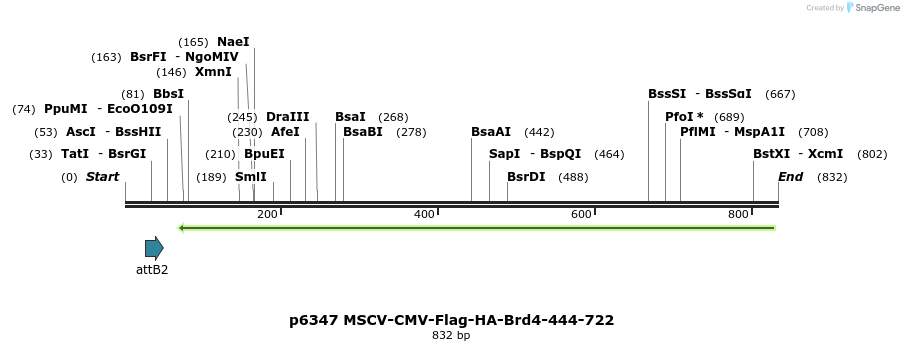 38808_map