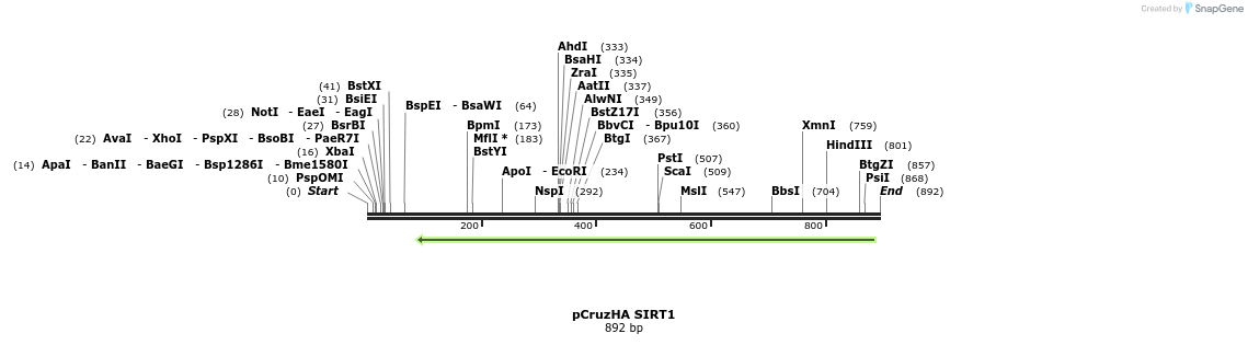 38809_map