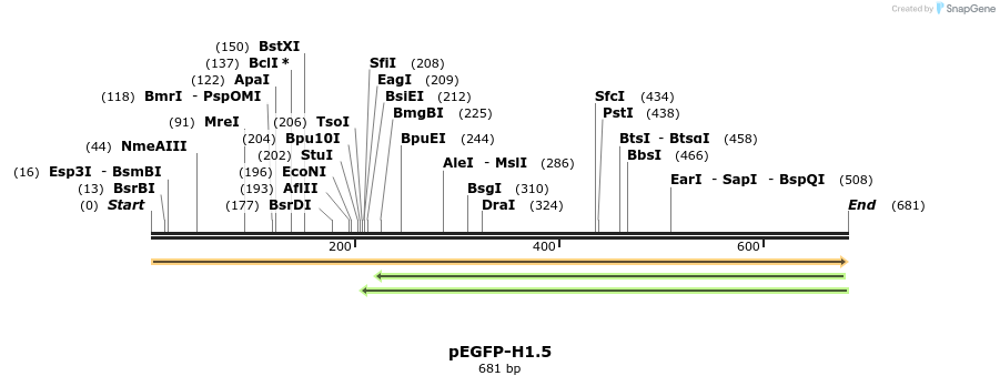 38816_map