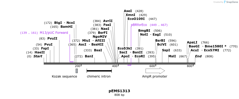 38817_map