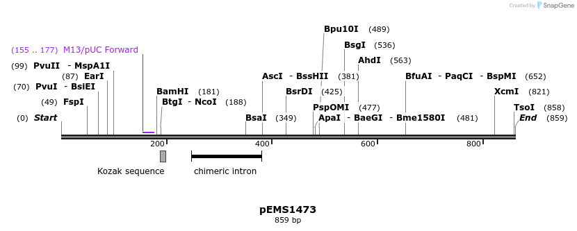 38818_map