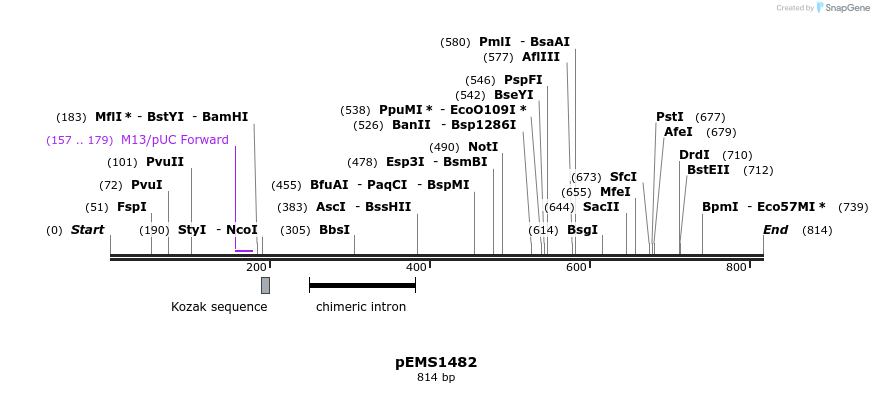 38819_map