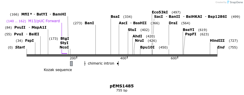 38820_map