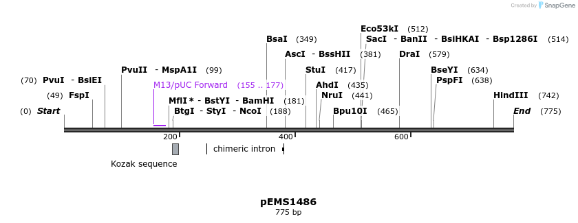 38821_map