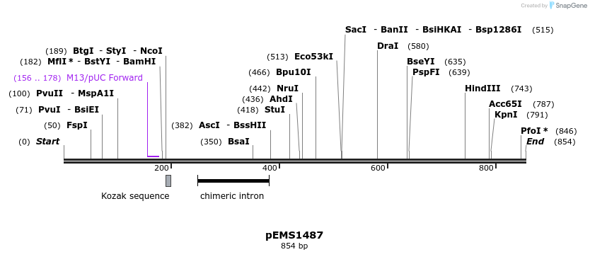 38822_map