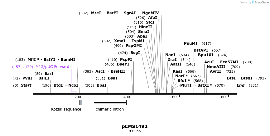 38824_map