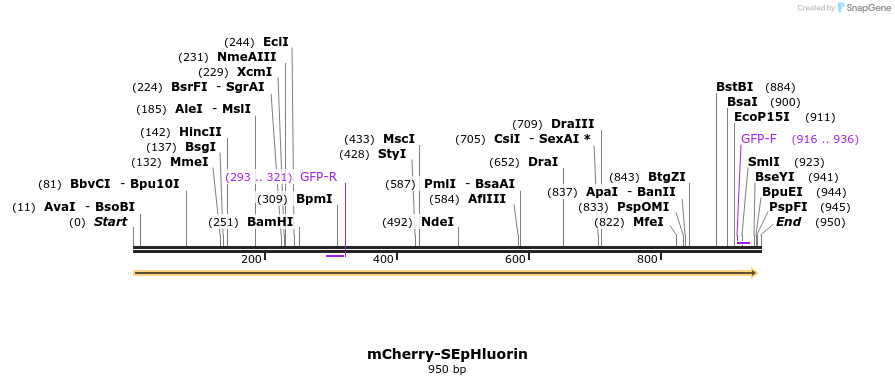 38825_map