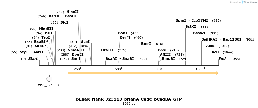388322_map
