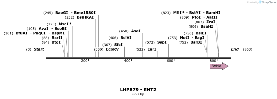 38834_map