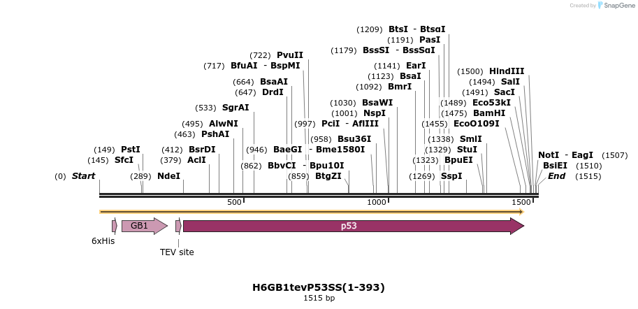 388345_map