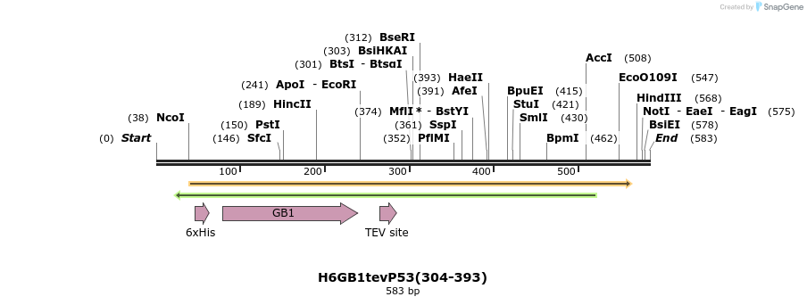 388351_map