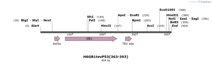 388353_map