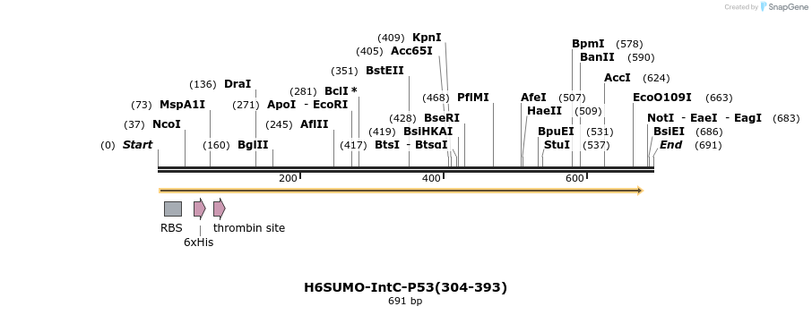 388356_map
