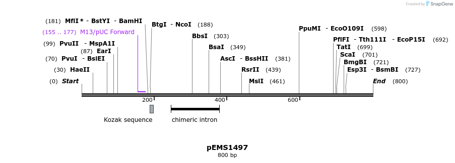 38837_map