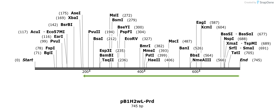 38839_map