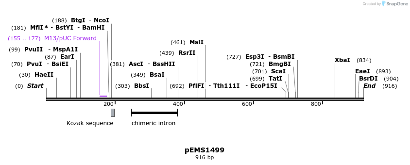 38843_map