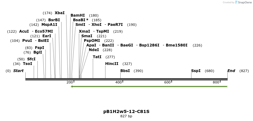 38845_map
