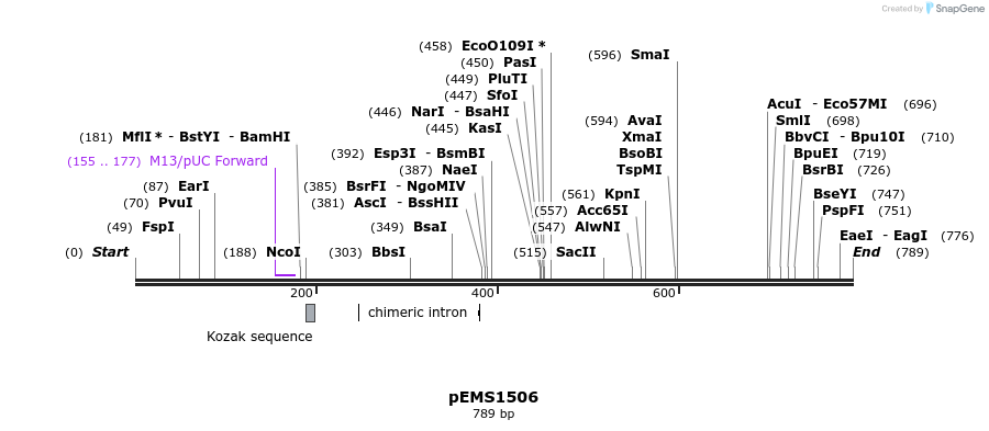 38853_map