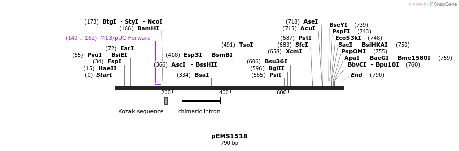 38854_map